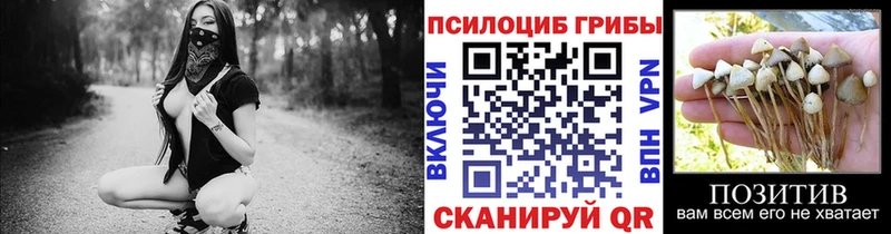 нарко площадка какой сайт  Курильск  Галлюциногенные грибы мицелий 