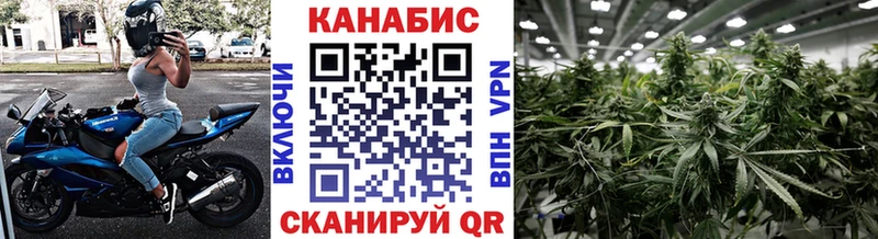 Бошки марихуана семена  darknet клад  Курильск 